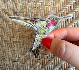 Hummingbird Ayre Sticker
