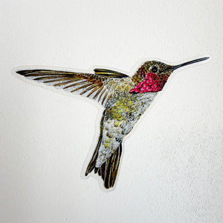 Hummingbird Ayre Sticker