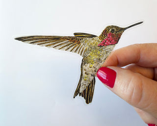 Hummingbird Ayre Sticker