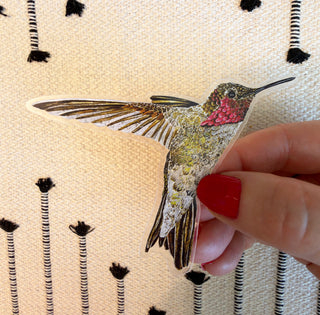 Hummingbird Ayre Sticker
