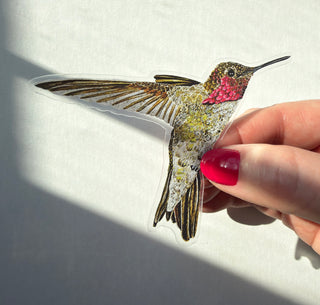 Hummingbird Ayre Sticker