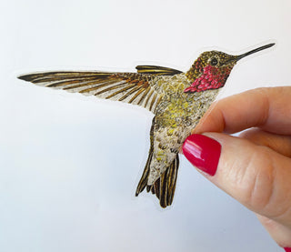 Hummingbird Ayre Sticker