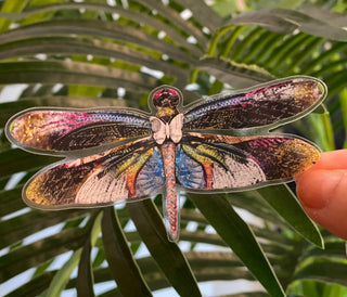 Stargazer Dragonfly Sticker