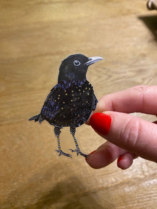 Blackbird Blakely Sticker