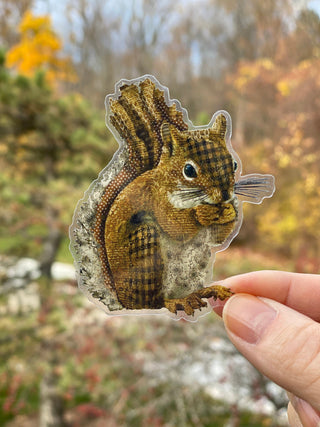 Woodland Squirrel Sticker