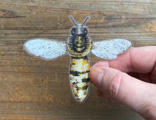 Honey Bee Sticker
