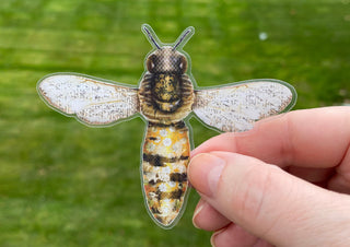 Honey Bee Sticker