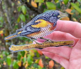 Diamond Bird Sticker