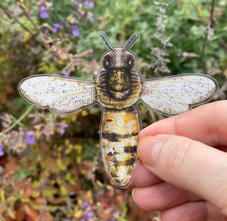 Honey Bee Sticker