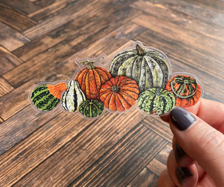 Pumpkins & Gourds Sticker