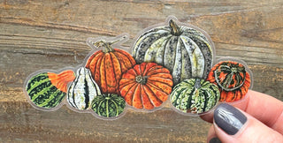 Pumpkins & Gourds Sticker