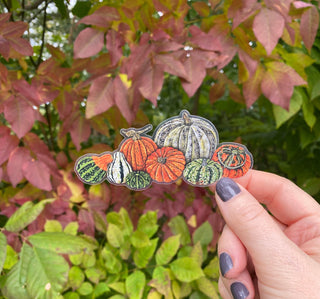 Pumpkins & Gourds Sticker