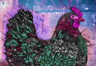 Hot Pink Hen Art Print