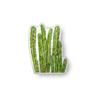 Cactus Throw Pillow