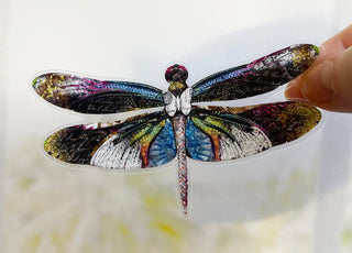 Stargazer Dragonfly Sticker