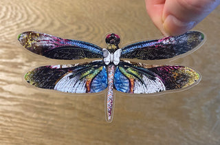 Stargazer Dragonfly Sticker