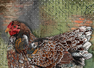 Strong Butterfly Hen Art Print
